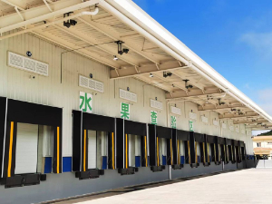 �����F·ĥ���F·�ڰ������bжϵ�y(t��ng)